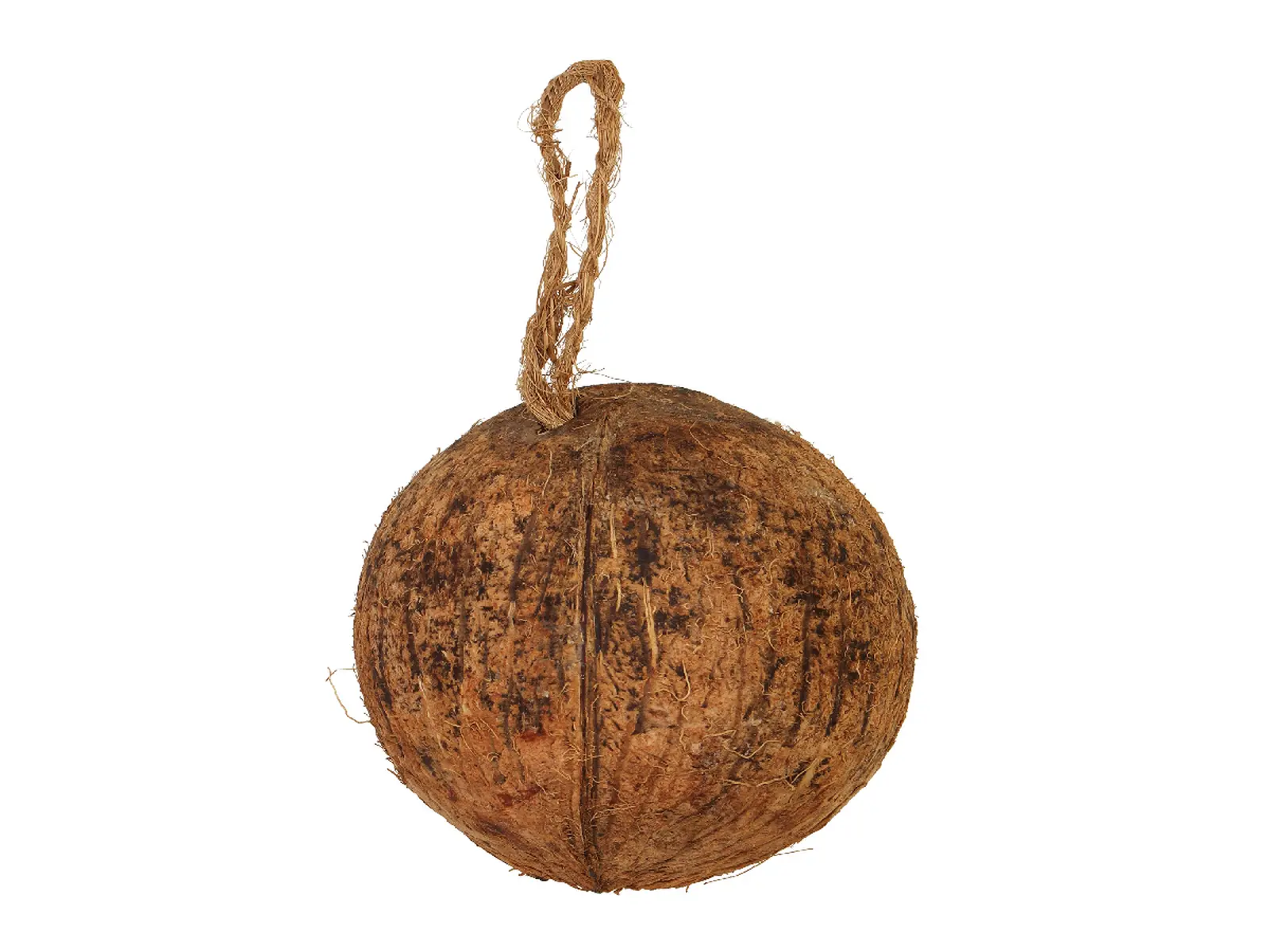Krmení pro ptáčky COCONUT, v kokosu, závěsné, 10x11cm, přírodní|Esschert Design