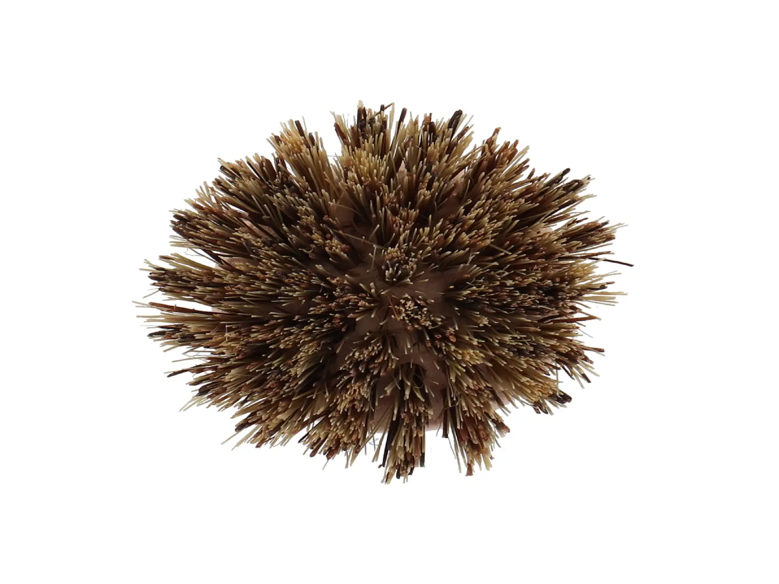 Kartáček pro čištění hrnců HOME DUST, 6x6x8cm, přírodní|Esschert Design
