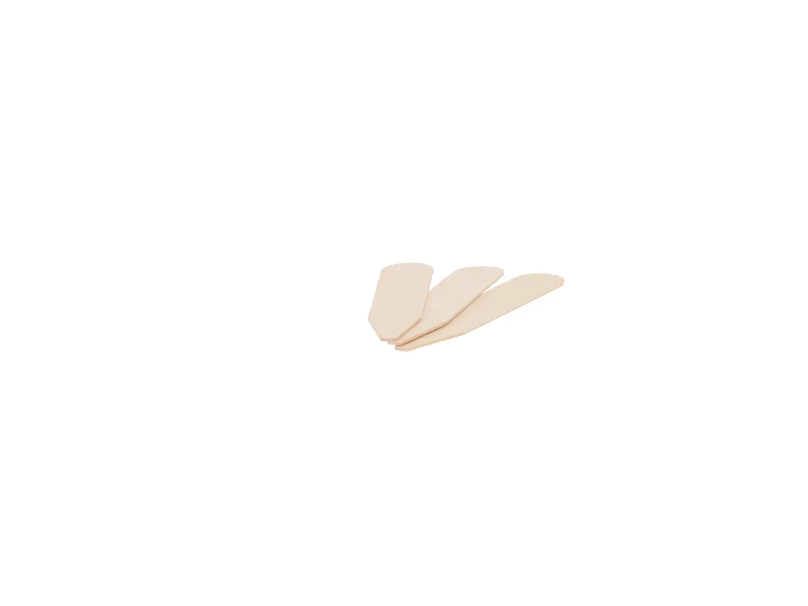 Jmenovka k rostlinám dřevěná, 2x10cm, (balení obsahuje 4 kusy!)0|Esschert Design