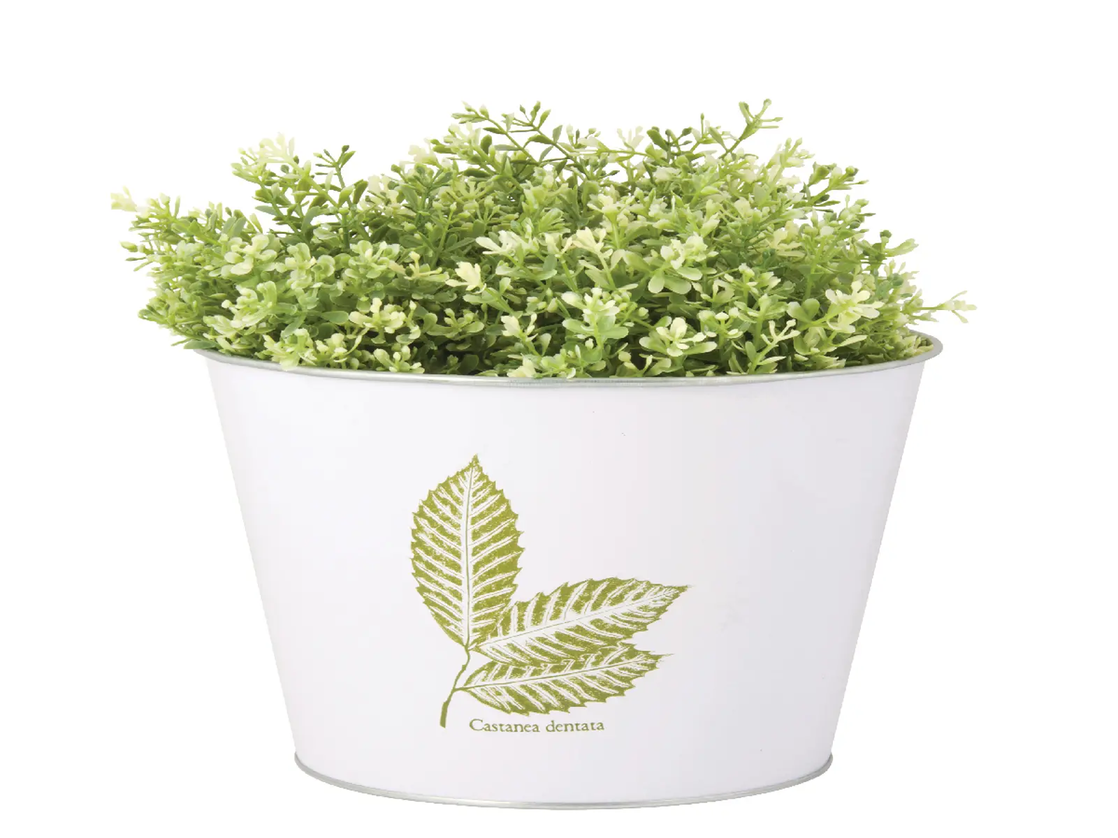 Květník s potiskem listů, různé motivy, bílá, V, balení obsahuje 3 kusy! (DOPRODEJ)|Esschert Design