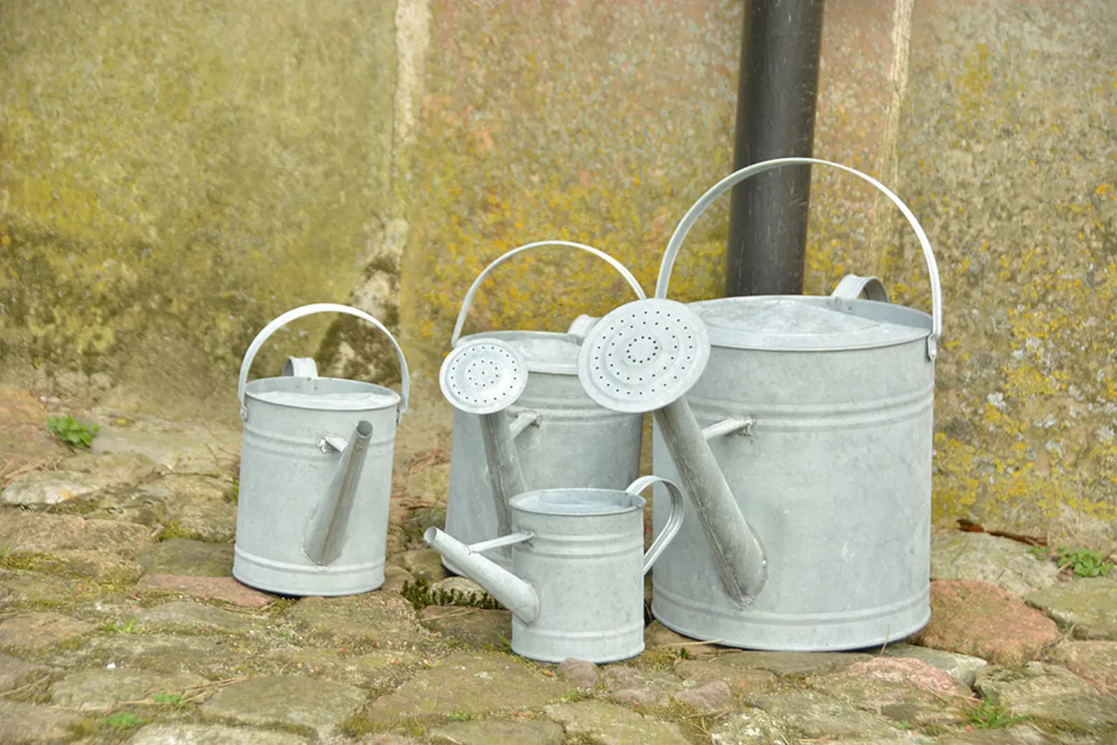 Konev pozink 6,6 ltr|Esschert Design