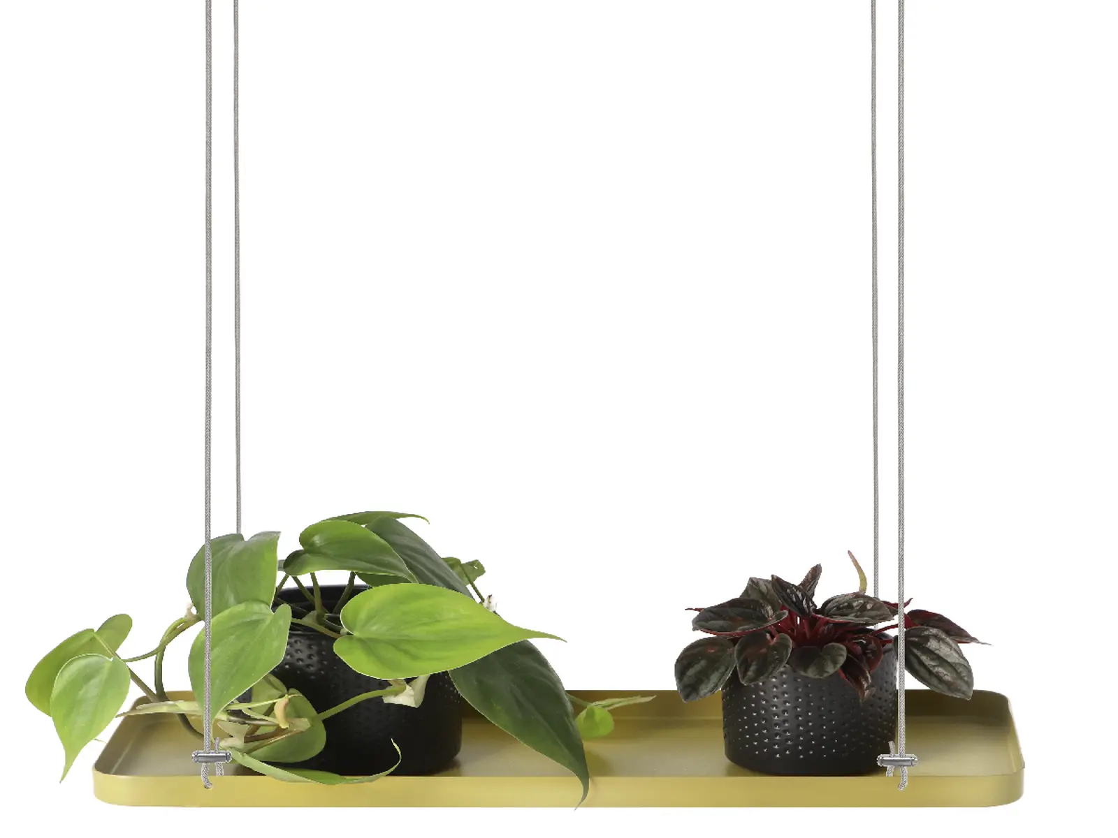Závěs na květiny WINDOW DRESSING, okenní 38x15cm, zlatá|Esschert Design