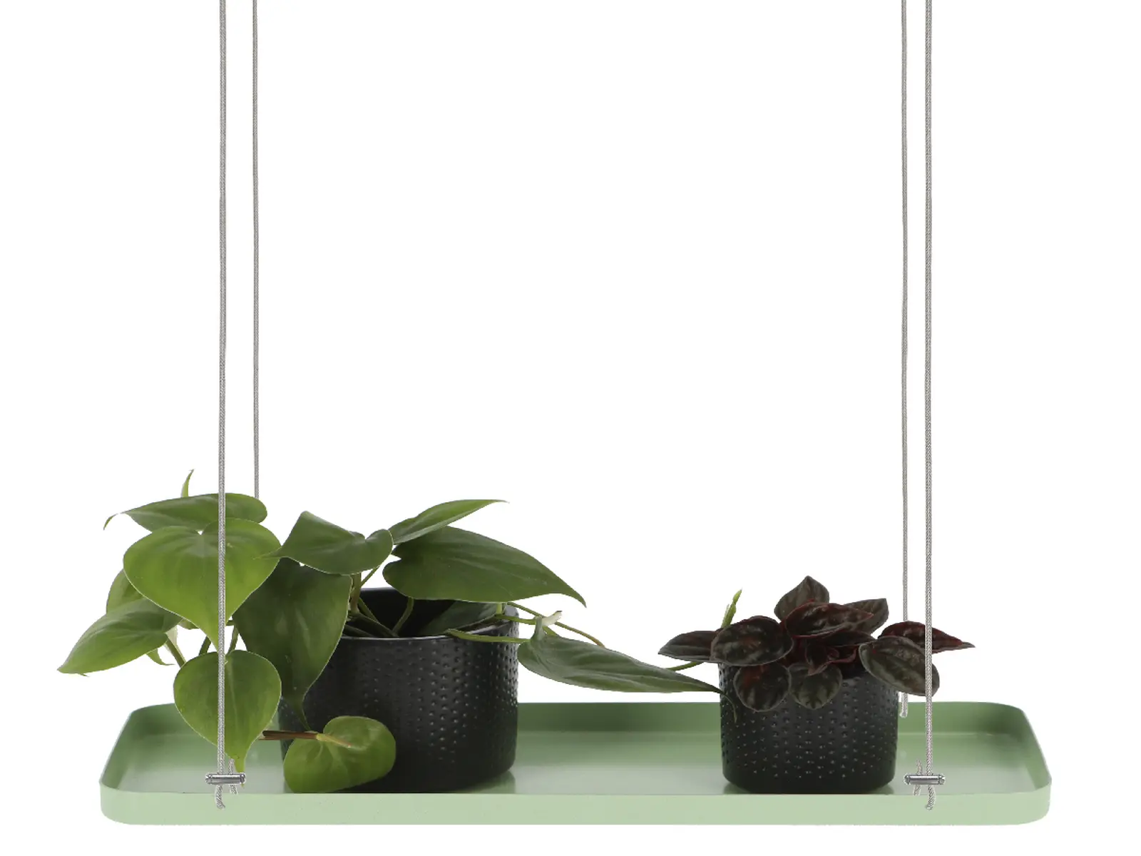 Závěs na květiny WINDOW DRESSING, okenní 38x15cm, zelená|Esschert Design