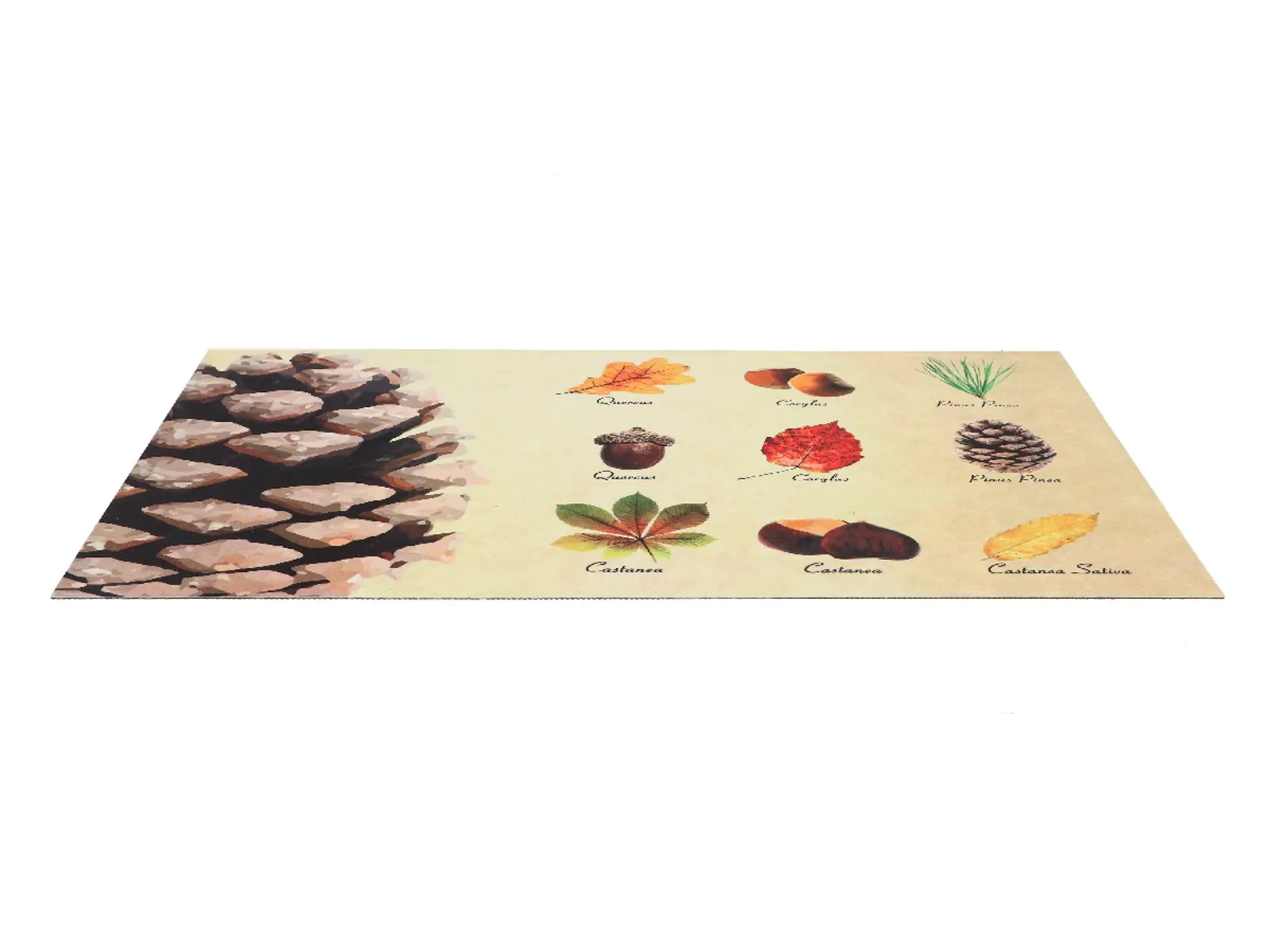 Podložka pod litinovou rohožku BEST FOR BOOTS Listy a plody, barevná, 75 x 45 cm (DOPRODEJ)|Esschert Design