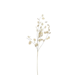 Květina penízek sušená FLOWEE, bílá, pr.10x72cm|Ego Dekor