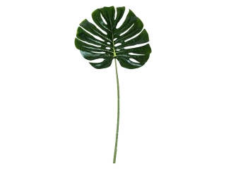 Dekorace list Monstera 29 x 1 x 80 cm (DOPRODEJ)|Esschert Design