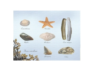 Ubrousek PAPÍROVÝ MOŘSKÝ SVĚT, potisk, 16,5x16,5cm|Esschert Design