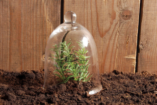 Skleněný poklop ZAHRADNÍ ESSCHERT´S GARDEN, sklo, čirá, 12x12x15 cm, DÁRKOVÉ BALENÍ obsahuje 2 kusy! (DOPRODEJ)|Esschert Design