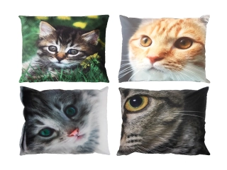 Polštář OUTDOOR Kočka, 40cm, kotě(č.1 - č.4), barevný potisk (DOPRODEJ) (balení obsahuje 4 kusy!)|Esschert Design